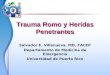 Trauma Romo y Heridas Penetrantes Salvador E. Villanueva, MD, FACEP Departamento de Medicina de Emergencia Universidad de Puerto Rico