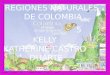 Las Regiones naturales de Colombia son divisiones territoriales realizadas a partir de características similares en cuanto a relieve, clima, vegetación,