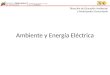 Ambiente y Energía Eléctrica Dirección de Educación Ambiental y Participación Comunitaria