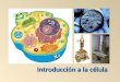 Introducción a la célula. 1.Resumen histórico 2.Teoría celular 3.Métodos de estudio de la célula 4.Célula procariótica y eucariótica 5.Origen y evolución