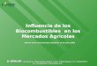 Influencia de los Biocombustibles en los Mercados Agr í colas e-oleum Consulting SL. C/Buenaventura I ñ iguez, 6 bajo. 31006 Pamplona. Tel +34 948293578