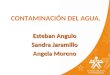 CONTAMINACIÓN DEL AGUA. Esteban Angulo Sandra Jaramillo Angela Moreno