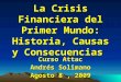 La Crisis Financiera del Primer Mundo: Historia, Causas y Consecuencias Curso Attac Andrés Solimano Agosto 8, 2009