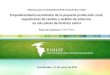 1 Alianzas para el Empoderamiento Económico (AAE) Empoderamiento económico de la pequeña producción rural: experiencias de cambio y análisis de entornos