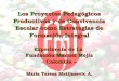 Los Proyectos Pedagógicos Productivos y de Convivencia Escolar como Estrategias de Formación Integral Experiencia de La Fundación Manuel Mejía - Colombia