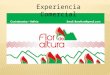 Experiencia Comercial. Flor de Altura es una agrupación de tres asociaciones y siete productores independientes. ¿Como Empieza? Después de recibir el
