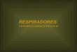 RESPIRADORES COMPLEMENTO UNIDAD TEMÁTICA Nº 10. RESPIRADORES Breve historia de la ventilación mecánica asistida