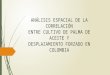 ANÁLISIS ESPACIAL DE LA CORRELACIÓN ENTRE CULTIVO DE PALMA DE ACEITE Y DESPLAZAMIENTO FORZADO EN COLOMBIA