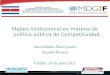 Mapeo Institucional en materia de política pública de Competitividad Autoridades Municipales Región Brunca Golfito, 28 de julio 2011