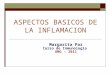 ASPECTOS BASICOS DE LA INFLAMACION Margarita Paz Curso de Inmunología UMG – 2011