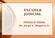 4/13/2015 ESCUELA JUDICIAL MODULO PENAL Dr. Jorge E. Bogarín G