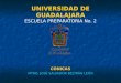 UNIVERSIDAD DE GUADALAJARA ESCUELA PREPARATORIA No. 2 CÓNICAS MTRO. JOSÉ SALVADOR BELTRÁN LEÓN