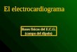 Bases físicas del E.C.G. (campo del dipolo) El electrocardiograma