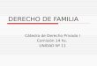 DERECHO DE FAMILIA Cátedra de Derecho Privado I Comisión 14 hs. UNIDAD Nº 11
