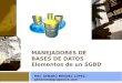 MANEJADORES DE BASES DE DATOS Elementos de un SGBD MSI. GENARO MENDEZ LOPEZ / genarom@grupocice.com