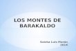 LOS MONTES DE BARAKALDO. En Barakaldo gran parte de su geografía es de carácter montañoso. Para los amantes de la naturaleza, cuyas aficiones son las