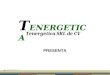 T ENERGETICA Tenergetica SRL de CV PRESENTA T ENERGETICA Tenergetica SRL de CV