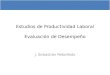 Estudios de Productividad Laboral Evaluación de Desempeño J. Sebastián Rebolledo