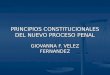 PRINCIPIOS CONSTITUCIONALES DEL NUEVO PROCESO PENAL GIOVANNA F. VELEZ FERNANDEZ
