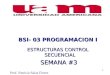 1 BSI- 03 PROGRAMACION I ESTRUCTURAS CONTROL SECUENCIAL SEMANA #3 SEMANA #3 Prof. Patricia Salas Flores