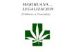 MARIHUANA… LEGALIZACION (Cáñamo o Cannabis). La marihuana es una planta común y silvestre. Al igual que la palma, la yuca, el helecho, o el ficus. Se