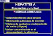 HEPATITIS A Prevención y control HEPATITIS A Prevención y control MEDIDAS GENERALES  Disponibilidad de agua potable  Eliminación adecuada de excretas
