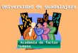 Universidad de Guadalajara Academia de factor humano