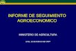 INFORME DE SEGUIMIENTO AGROECONOMICO MINISTERIO DE AGRICULTURA Lima, 12 de febrero del 2007