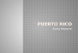 Alyssa Woolums.  Mapa/Ciudades  Un celebracion  Personas famosas  Comida  La Bandera de Puerto Rico  Lugares para Visitar  Datos Divertidos de