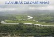 ¿Cuales son las cuatro llanuras de Colombia? A) LA ORINOQUIA, AMAZONIA, LLANURA DEL PACIFICO, LLANURA DEL CARIBE B) LA ORINOQUIA, LA AMAZONIA, LLANURA
