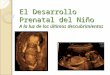 El Desarrollo Prenatal del Niño A la luz de los últimos descubrimientos