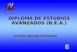 DIPLOMA DE ESTUDIOS AVANZADOS (D.E.A.) Carlos Ayyad Limonge