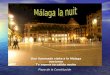 Plaza de la Constitución Una iluminada visita a la Málaga nocturna Te espera su cálida noche