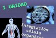 I UNIDAD Integración célula organismo. Diferenciación celular