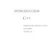INTRODUCCION C++ Preparado por: Nelliud D. Torres Enero/2003 Versión 1.0