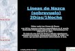 Líneas de Nazca (sobrevuelo) 2Días/1Noche Sobre vuela Las Líneas de Nazca uno de los mayores enigmas arqueológicos en el mundo, declarados Patrimonio Cultural