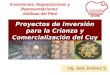 Inversiones, Negociaciones y Representaciones Andinas del Perú Proyectos de Inversión para la Crianza y Comercialización del Cuy Ing. José Jiménez S. Inversiones,