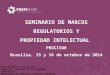 SEMINARIO DE MARCOS REGULATORIOS Y PROPIEDAD INTELECTUAL PROCISUR Brasilia, 15 y 16 de octubre de 2014 Área Patentes y Tecnología Dirección Nacional de