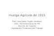Huelga Agrícola de 1915 Prof. Ana Delia Trujillo-Jiménez Univ. Interamericana de PR Recinto de Fajardo Legislación Protectora del Trabajo