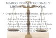 MARCO CONSTITUCIONAL Y LIBERTAD FUNCIONAL Organizaciones Solidaristas, Protección Constitucional: – Artículo 25. Libertad de Asociación: Derecho a asociarse