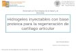 Hidrogeles inyectables con base proteica para la regeneración de cartílago articular Sara Poveda Reyes Directora: Gloria Gallego Ferrer Doctorado en Tecnologías
