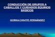 CONDUCCIÓN DE GRUPOS A CABALLOS Y CUIDADOS EQUINOS BÁSICOS GORKA CHIVITE FERNÁNDEZ