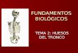 FUNDAMENTOS BIOLÓGICOS TEMA 2: HUESOS DEL TRONCO