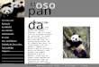 ©2007 Alícia Cabezas Pijuan | El oso Panda | 1º ESO B Introducción Historia El hábitat Sus hábitos Alimentación El celo Pro. Ecológicos Cuidado de las
