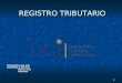 1 REGISTRO TRIBUTARIO REGISTRO TRIBUTARIO ENCUENTRO SUR-SUR GUATEMALA-ANTIGUA Agosto 2013 URUGUAY