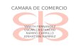 CAMARA DE COMERCIO YANETH FERNANDEZ OSCAR CRISTANCHO RAMIRO CARRILLO JONHATTAN RAMIREZ