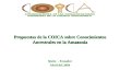 Propuestas de la COICA sobre Conocimientos Ancestrales en la Amazonía Quito - Ecuador Abril del 2004