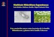 Simbiosis Rhizobium-leguminosas Esta asociación ocurre entre bacterias de la familia Rhizobiaceae y plantas de la familia Fabaceae Luis Bolaños, Ildefonso