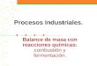 Procesos Industriales. Balance de masa con reacciones químicas: combustión y fermentación