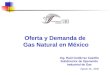 Oferta y Demanda de Gas Natural en México Agosto 25, 2005 Ing. Raúl Gutiérrez Castillo Subdirector de Operación Industrial de Gas